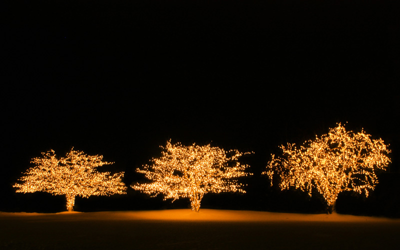 Illustration for article titled Photo Contest: Christmas Lights